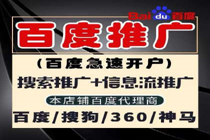 探索SEO在移动端的优化策略——成功案例分享